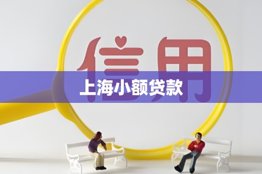 上海小额贷款